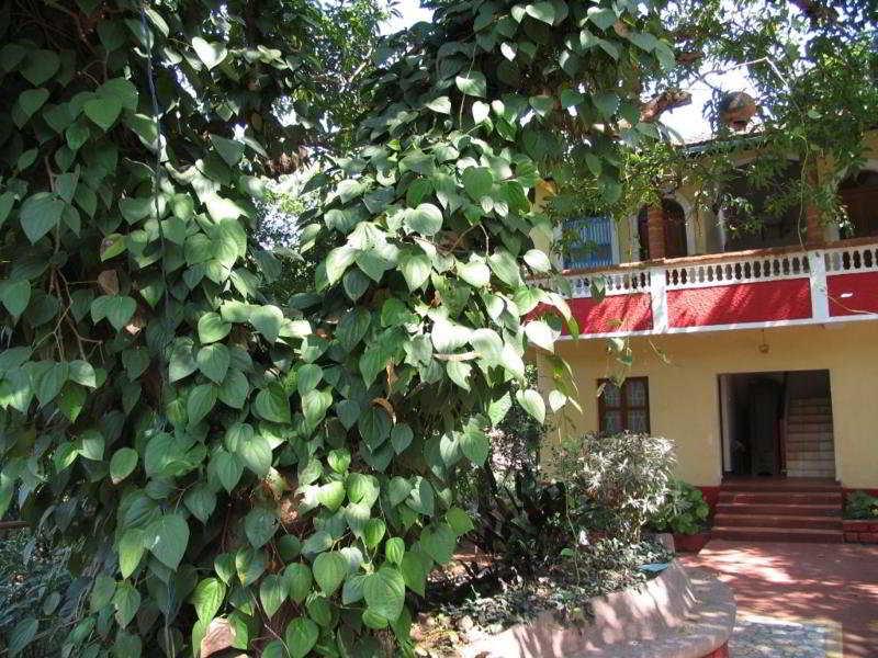 فندق Astoria Parra المظهر الخارجي الصورة